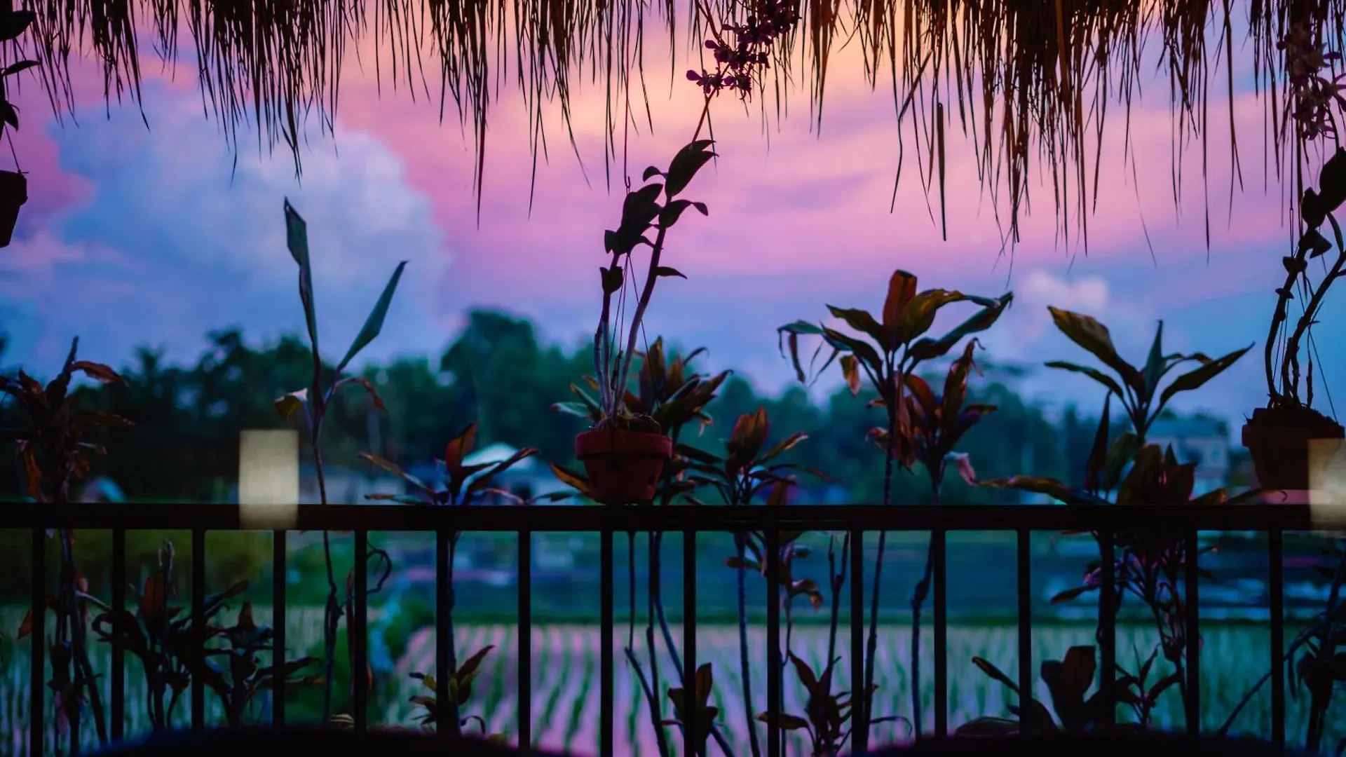 Nila Chandra Bungalows Ubud  0*, Ubud (Bali)